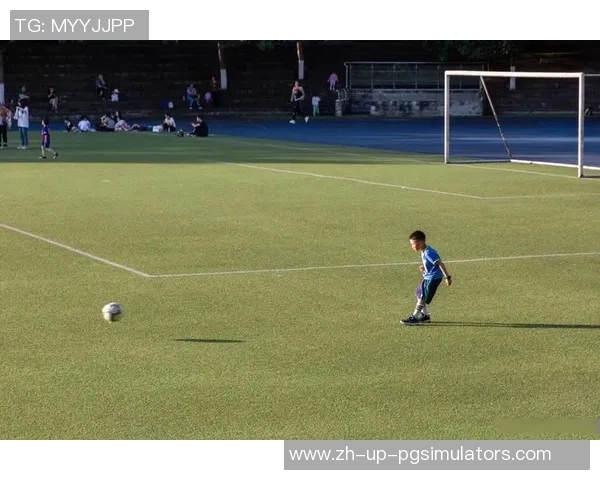 足球绿地上的梦想与拼搏：探索足球运动的魅力与未来发展